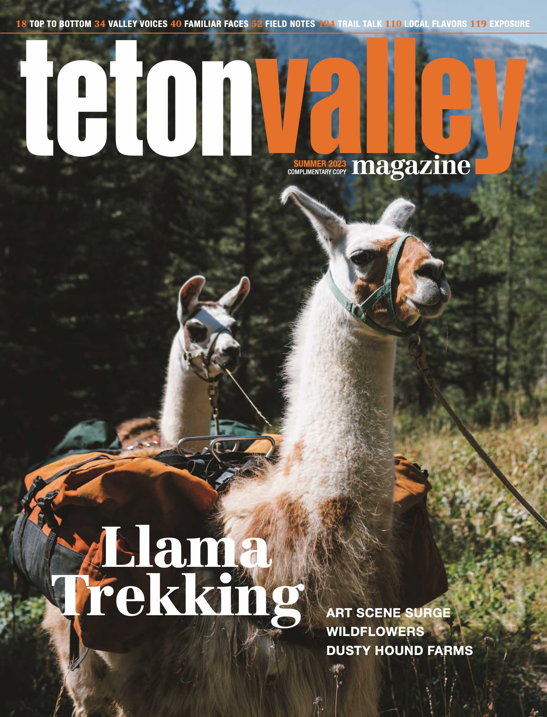 Teton Valley Magazine Summer 2023 cover