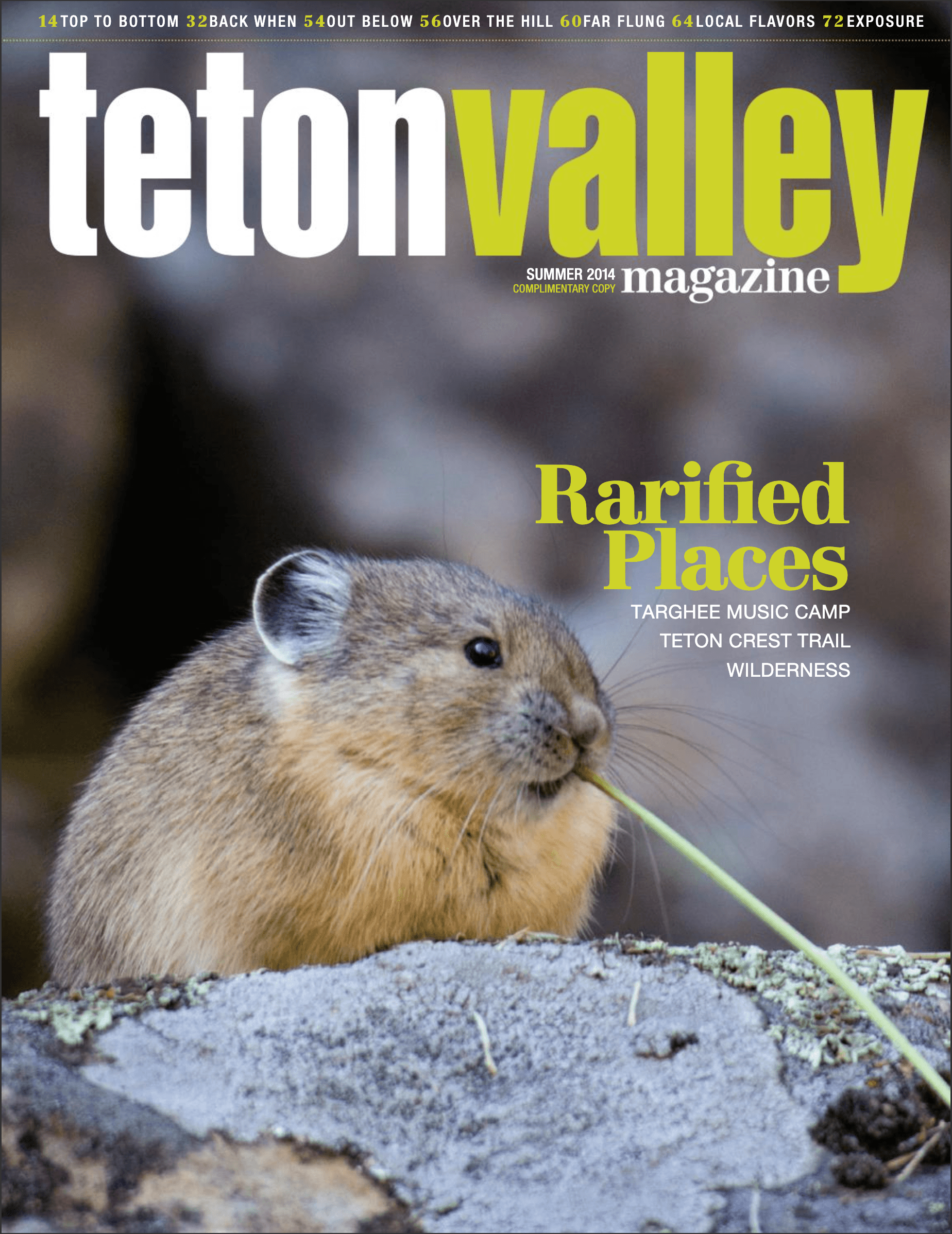 Cover of Teton Valley magazine's Summer 2014 publication created in Driggs, Idaho. Picture of a Pica on a rock.