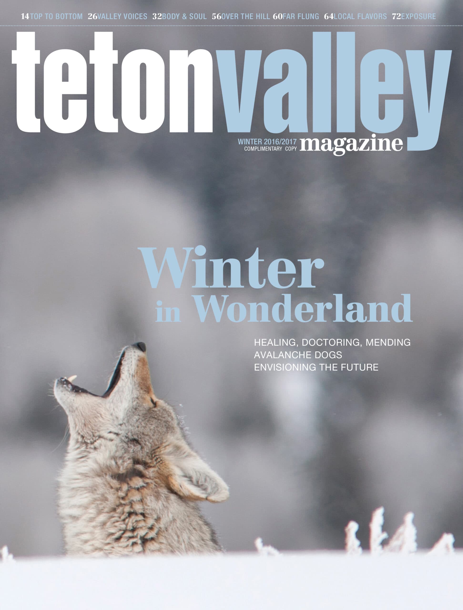 A coyote howling on the cover of the Teton Valley Magazine Winter 2015/2016 issue in Driggs Idaho.