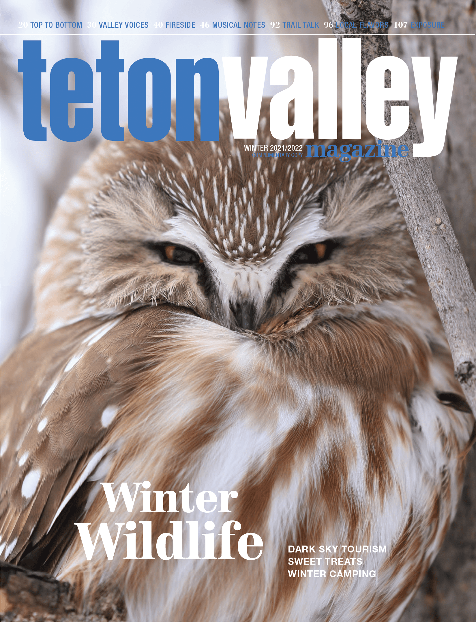 Winter 2021/2022 Cover of Teton Valley Magazine.
